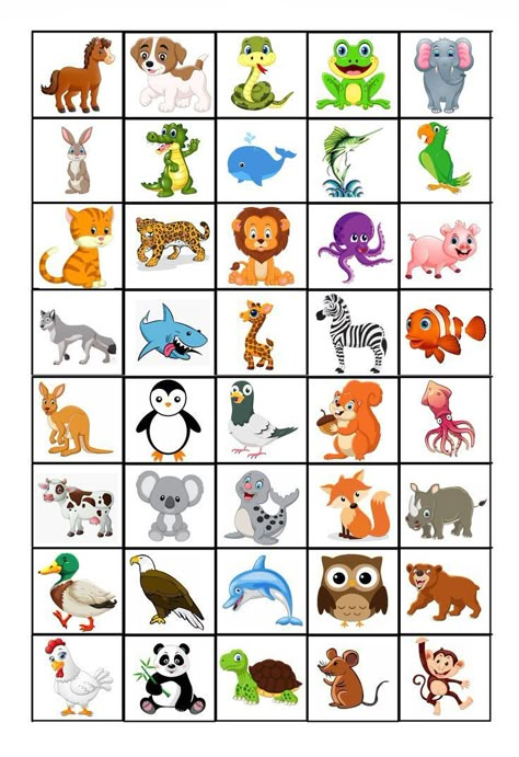 Animal Pictures For Kids, Kids Worksheets Preschool, Montessori Toddler Activities, Preschool Activities Toddler, Lion Fish, Daycare Activities, Preschool Art Activities, Kids Animals, English Lessons For Kids