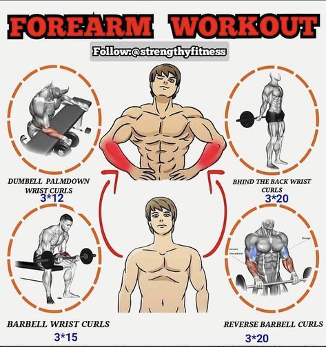 Bigger Forearms, Workout And Diet Plan, Home Workout Men, Workout Gym Routine, Gym Workout Guide, Workout Program Gym, Forearm Workout, Best Gym Workout, Gym Workout Planner