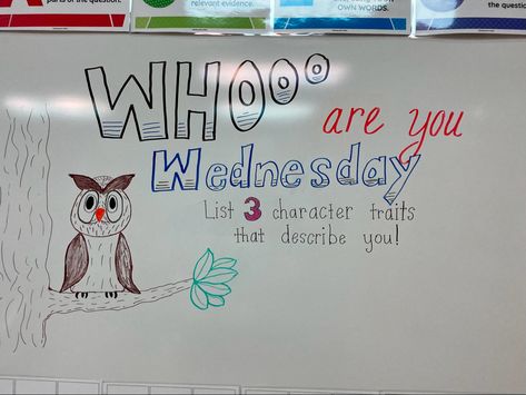 #classroomwhiteboardmessage Wednesday Whiteboard Question, Wednesday Whiteboard Prompt, Wednesday Morning Meeting, White Board Ideas, Whiteboard Prompts, Whiteboard Questions, Whiteboard Messages, Elementary Classroom Themes, Daily Questions