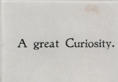 Stay Curious Tattoo, Archeology Quotes, Gemini Vibes, Stay Curious, Wise One, Myers Briggs Personalities, Maybe Someday, Rabbit Hole, Infp