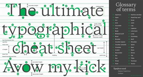 Martin Silvertant on Twitter: "Have you seen my type anatomy cheat sheet? https://t.co/GXl3r4Lu8W #Typography #TypeAnatomy #Typeface #Letters #Lettering https://t.co/anVth46bxV" / Twitter Anatomy Cheat Sheet, Typography Anatomy, Anatomy Of Type, Anatomy Of Typography, Type Anatomy, Typeface Poster, Palm Tree Silhouette, My Type, Motion Graphics Design