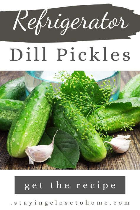 Refrigerator Dill Pickles, Homemade Vinegar, Kosher Pickles, Cucumber Uses, Refrigerator Pickles Dill, Refrigerator Pickle Recipes, Homemade Pickles Dill, Pickle Recipes Homemade, Kosher Dill Pickles