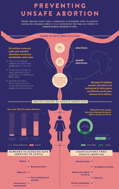 Women Infographic, Professional Infographic, Infographic Examples, Scientific Poster, Ambassador Program, Research Poster, Infographic Resume, Information Visualization, Graphic Design Cards