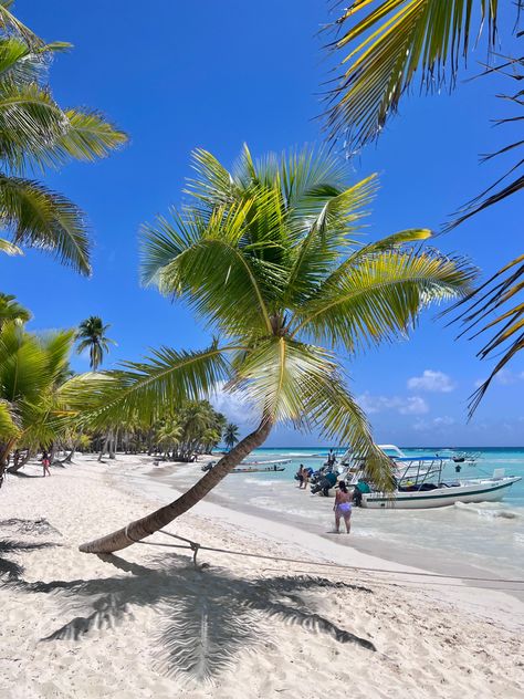 Saona Island Punta Cana, Saona Island, Beach Island, Island Vibes, Summer Bucket Lists, Punta Cana, Wanderlust Travel, Travel Inspo, Dominican Republic