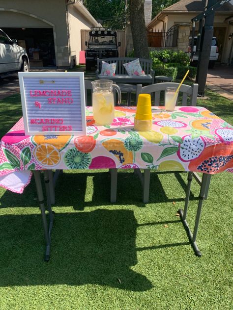 Fundraising Stall Ideas, Summer Stand Ideas, Preppy Lemonade Stand, Lemonade Stands Ideas, Aesthetic Lemonade Stand, Cute Lemonade Stand Ideas, Lemonade Stand Aesthetic, Simple Lemonade Stand, Lemonade Stall