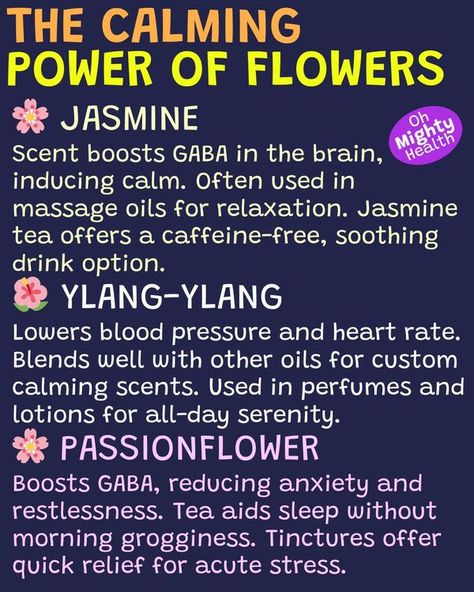 Oh Mighty Health Passionflower Benefits, Passion Flower Benefits, Oils For Relaxation, Beyond Beauty, Calming Scents, Passion Flower, Lower Blood Pressure, Caffeine Free, Massage Oil