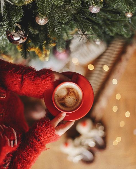 #christmas coffee Christmas Shoot, Christmas Family Photos, Christmas Inspo, Christmas Photography, Christmas Photoshoot, Noel Christmas, A Cup Of Coffee, Christmas Mood, Christmas Coffee