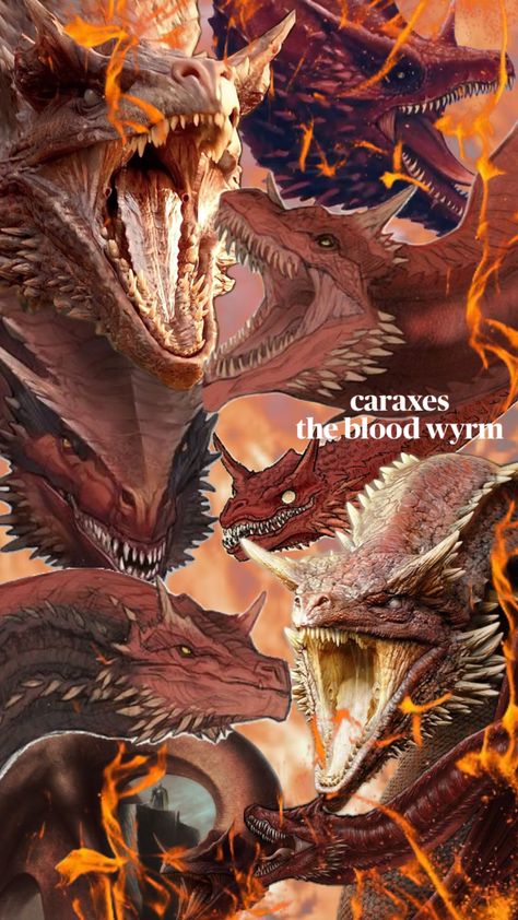 Caraxes Dragon Wallpaper, Caraxes Dragon Fanart, Daemyra Fanart, Caraxes Dragon, Surface Development, Red Folder, Targaryen Dragons, Drogon Game Of Thrones, Shadow Of Mordor