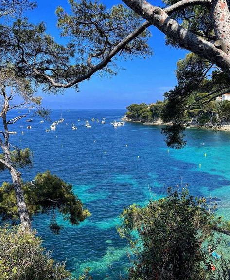 Paloma Beach Cap Ferrat, French Beach Aesthetic, French Beach House, French Riviera Aesthetic, Paloma Beach, Saint Jean Cap Ferrat, French Beach, France Summer, Riviera Beach