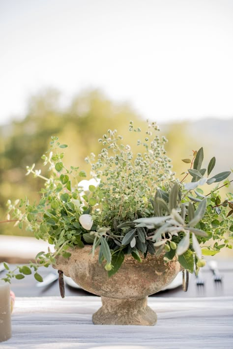 Wedding inspiration in earthy tones set amidst Tuscan olive groves | Tuscany Wedding Inspiration | Gallery | Item 44 Olive Branch Centerpiece Round Table, Rustic Italian Centerpieces, Tuscan Wedding Ceremony Decor, Wedding Flowers Tuscany, Tuscan Bouquet Wedding, Olive Branch Wedding Florals, Olive Branch Flower Arrangement, Tuscan Wedding Centerpieces, Tuscany Wedding Inspiration