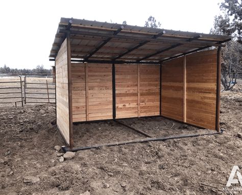 Horse Loafing Shed, Portable Horse Shelter, Horse Shelter Ideas Cheap, Horse Shelter Plans, Diy Horse Shelter, Cow Shelter, Cattle Fencing, Horse Shelters, Donkey Care