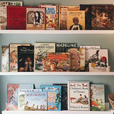 Library Homeschool Room, Homeschool Bookshelf, Library Goals, Classical Homeschool, Future Library, Charlotte Mason Homeschool, Kids Bookshelf, Margaret Wise Brown, Rabbit Collection