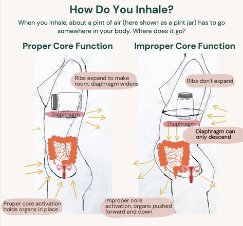 Endo Belly Pictures, Endo Belly Remedies, Heal Endo, Endo Belly, Thoracic Cavity, Endo Diet, Lower Belly Pooch, Nose Picking, Low Estrogen Symptoms