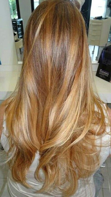 Peachy Highlights Hair, Honey Blonde Hairstyles, Hairstyles Volume, Colour Aesthetic, Honey Brown Hair, Vacation Hairstyles, Hairstyles 2024, Viral On Tiktok, T Shirt Female