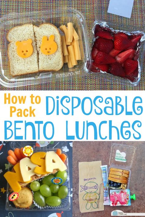 Field Trip Lunch, Bento Lunch Ideas, Kids Packed Lunch, Brown Bag Lunch, School Lunch Recipes, Easy Weekday Meals, Bento Lunches, Sack Lunch, Toddler Lunches