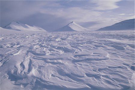 Snow Tundra Aesthetic, Tundra Aesthetic, Tundra Photography, Arctic Horror, Frozen Tundra Aesthetic, Tundra Illustration, Arctic Tundra Aesthetic, Snowy Tundra Aesthetic, Camo Aesthetic