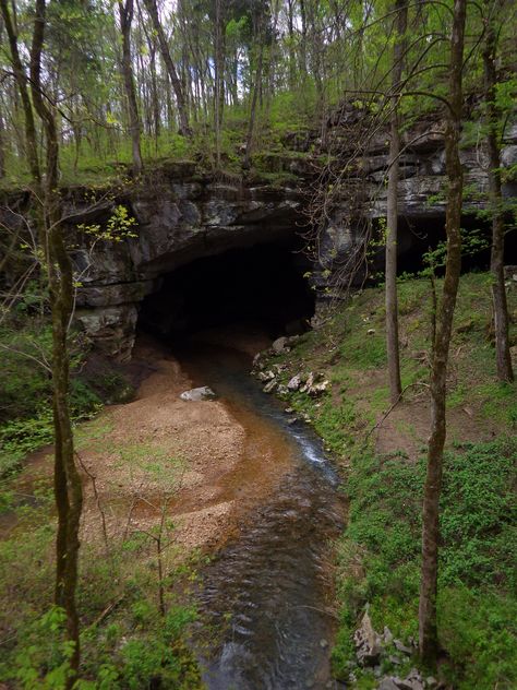 Cave Entrance, Park Rangers, Hunting Camp, Cave In, Park Ranger, Warrior Cat, Nature Trail, National Monuments, Warrior Cats