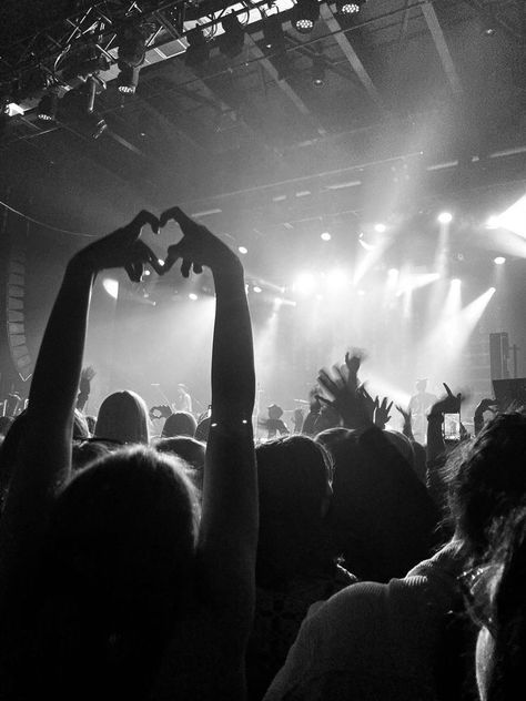 Louis Tomlinson One Direction, Concert Crowd, One Direction Music, Live Music Photography, Hand Heart, Street Punk, Concert Stage, Cover Image, Heart Hands