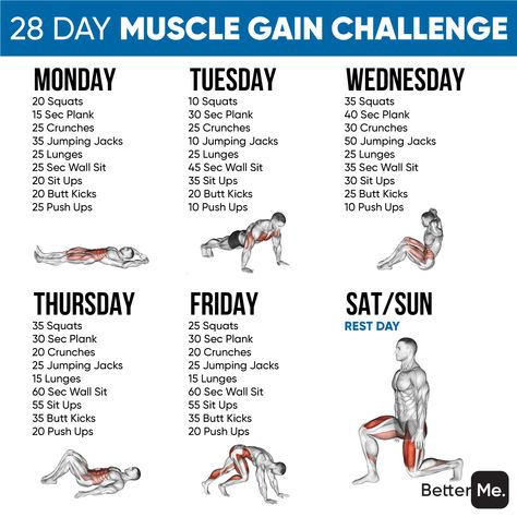 Workout Programs For Men, Calisthenics Workout At Home, Calisthenics Workout Routine, Lean Workout, Muscle Gain Workout, Calisthenics Workout Plan, Full Body Workout Plan, Home Workout Men, Workout Gym Routine