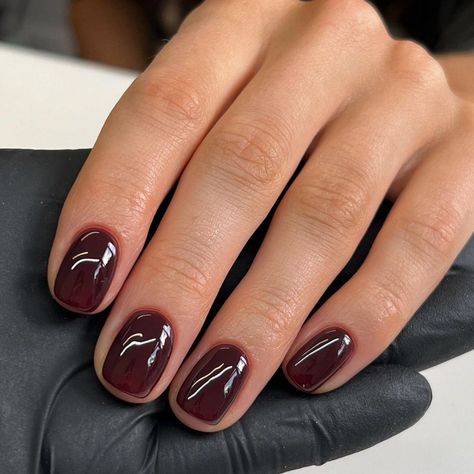 December Color Nails, December Nail Colors, Berry Nails, Metallic Nails, Brown Nails, Minimalist Nails, Dream Nails, Sally Hansen, Holiday Nails