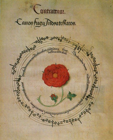 Canon In Honour Of Henry VIII Tudor Monarchs, Tudor Dynasty, Tudor Era, King Henry Viii, Tudor History, Tudor Rose, King Henry, Henry Viii, English History