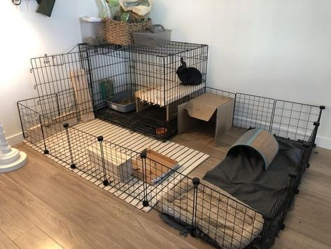 Bunny Cages Ideas, House Rabbit Setup, Indoor Bunny Setup, Indoor Rabbit Setup, Bunny Room Ideas, Pet Bunny House, Indoor Bunny House, Diy Bunny Cage, Indoor Rabbit House