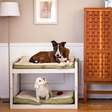 The bottom could be made into a crate and you could add a third level for storage Dog Bunk Beds, Dog Lounge, Diy Dog Crate, Murphy Bed Ikea, Dog Crate Cover, Diy Bunk Bed, Crate Furniture Diy, Crate Cover, Diy Dog Bed