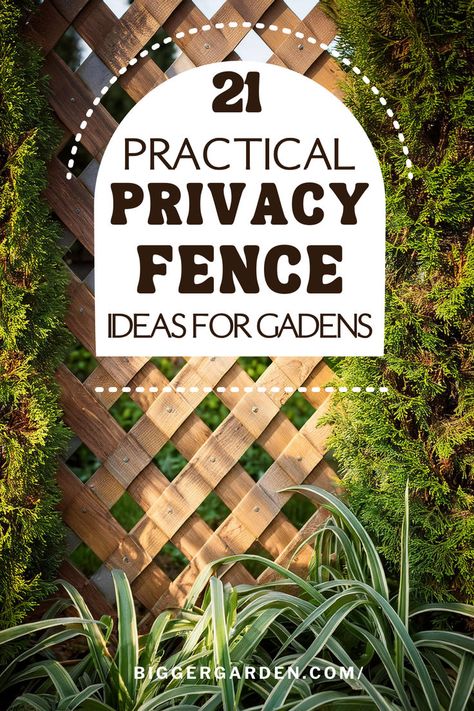 A wooden lattice privacy fence surrounded by lush greenery, showcasing a practical garden privacy solution. Rustic Garden Fence, Tomato Support, Privacy Fence Ideas, Glass Fence, Living Fence, Burning Bush, Garden Privacy, Cedar Fence, Privacy Fences