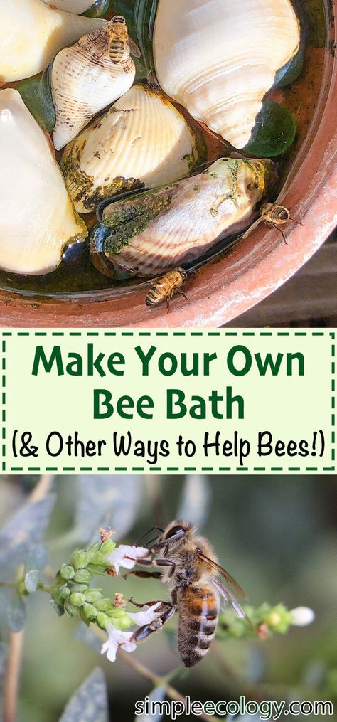 Water For Bees Ideas, Bee Fountain Diy, Bee Drinking Station Diy, Butterfly And Bee Water Station, Diy Bee Cups For Garden, Bee Watering Station Diy, Bee Feeder Diy, Bee Bath Diy, Bee Baths