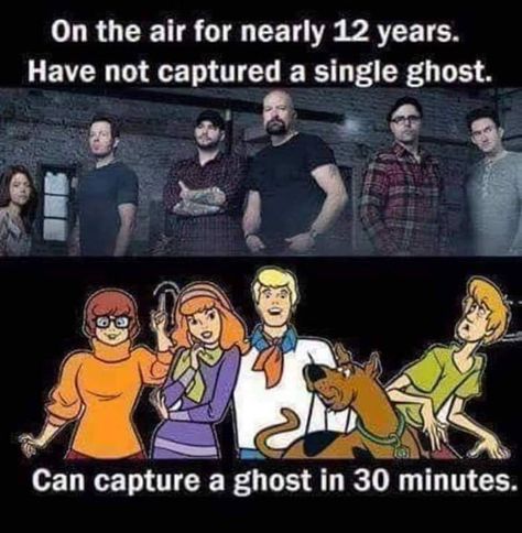 Scooby Doo Memes, What's New Scooby Doo, Scooby Doo Mystery Inc, Scooby Doo Images, Scooby Doo Mystery Incorporated, New Scooby Doo, Freaking Hilarious, Scooby Doo Mystery, Images Gif