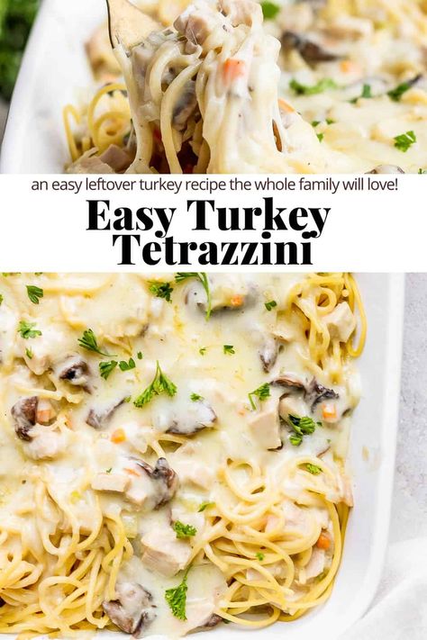 Turkey Tetrazzini - this classic leftover turkey recipe for turkey tetrazzini is simple, easy and sure to be a family favorite! #turkeytetrazzini #turkeytetrazzinirecipeeasy #turkeytetrazzinieasy #turkeytetrazzinicasserole #turkeytetrazzinirecipeeasyhealthy Leftover Deli Turkey Recipes, Turkey Tetrazzini Recipe Pioneer Woman, Turkey Tetrazini, Turkey Tetrazzini Easy, Turkey Tetrazzini Recipe, Easy Leftover Turkey Recipes, Deli Turkey Recipes, Recipe For Turkey, Turkey Tetrazzini