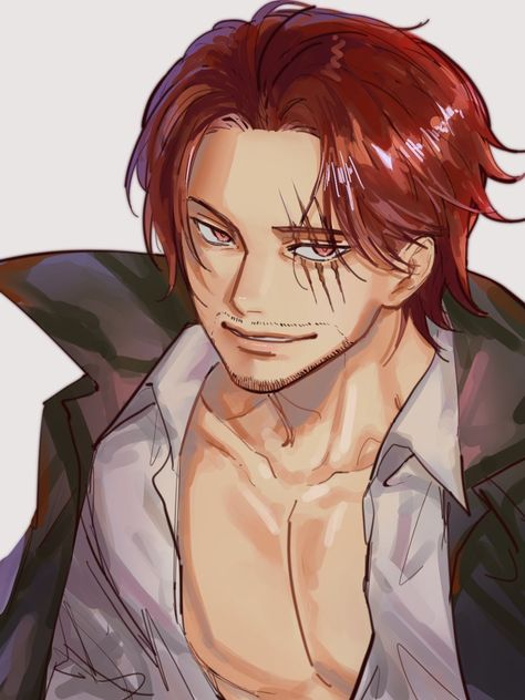 Shanks Fanart, Shanks One Piece, One Piece Men, One Piece Cosplay, Library Aesthetic, One Piece Man, One Piece Wallpaper Iphone, One Piece Ace, One Piece Drawing