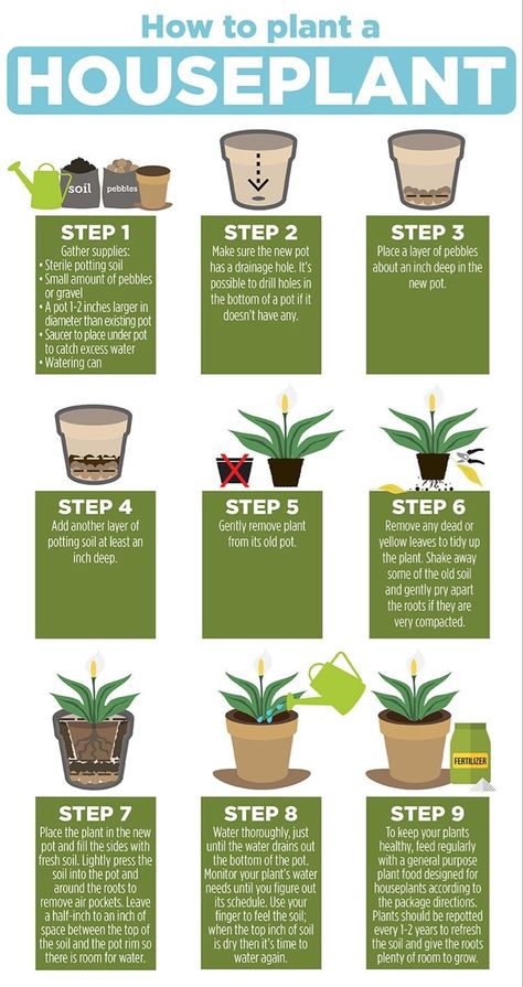 Plant Mama, نباتات منزلية, Household Plants, Plant Care Houseplant, Plant Parent, Plant Hacks, Garden Life, Inside Plants, Indoor Plant Care