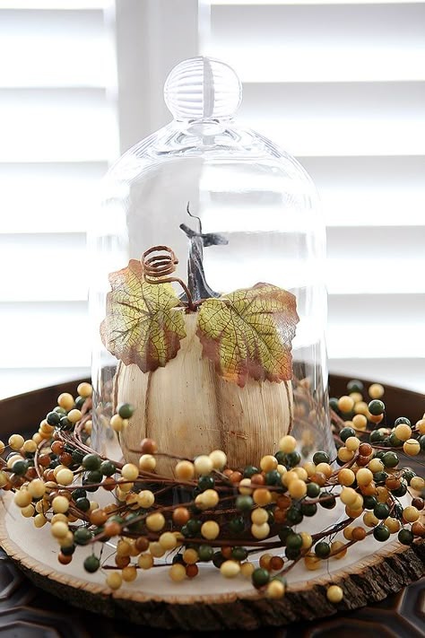 Fall Decorations - How to make a cloche and two ideas for styling it for fall! Fall Cloche, Cloche Decor, Table Halloween, Fall Deco, Autumn Decorating, Glass Cloche, Fabulous Fall, Fall Centerpiece, Fall Holidays