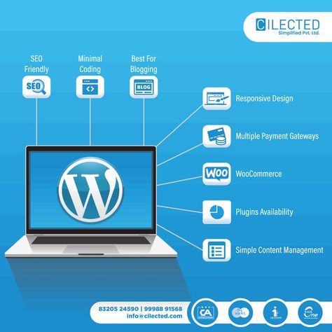 wordpress development service, best wordpress development company, wordpress mobile app development Professional Web Design, School Management, Blog Seo, Website Development Company, Seo Optimization, Content Management, Seo Marketing, Responsive Design, Wordpress Website