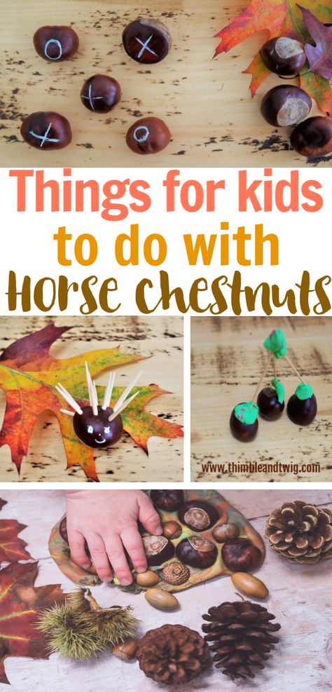 Fun things for kids to do with horse chestnuts this Fall (also known as conkers or buckeyes) Autumn Activities to play with horse chestnuts. Fall craft and activity ideas for kids to make, play and do. Fun and easy fall crafts for kids. Are your kids always collecting horse chestnuts? Here are some fun Fall crafts and activities to make with horse chestnuts. #fallcrafts #fallactivitiesforkids #craftsforkids #artsandcraftforkindergarten Chestnuts Arts And Crafts, Chestnut Crafts For Kids, Chestnuts Crafts, Activities For Kids Outdoor, Conkers Craft, Provocations Kindergarten, Autumn Crafts For Kids, Autumn Themed Activities, Autumn Activity