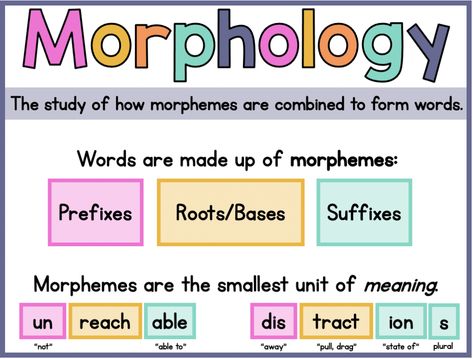 Morpheme Wall, Morpheme Magic, Morphemes Activities, Morphology Anchor Chart, Morphology Bulletin Board, Morphology Lessons, Morphology 3rd Grade, Teaching Morphology, Morphology Wall