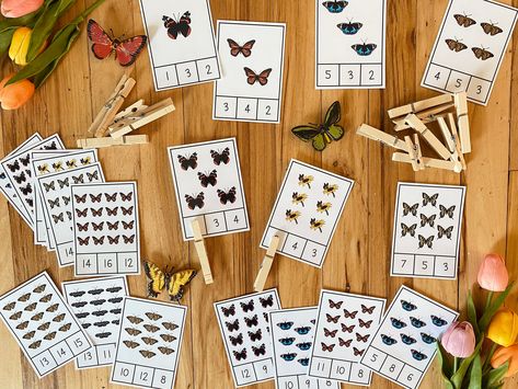 This Butterfly Unit: Math Pack is filled with fun and hands on activities to make learning about butterflies fun! Included in this pack are math activities that can be used with children in pre-k through 1st grade. Math Activities: Butterfly Sorting Jars - 7 pages Butterfly Clip Cards - 5 pages Butterfly Number Sorting - 9 pages Butterfly Addition Ten Frames - 15 pages Butterfly Counting Puzzles - 6 pages Butterfly Subtraction True vs. False - 4 pages Please Note: These activities are also in th Butterfly Math Activities, Butterfly Unit Study, 1st Grade Math Activities, Counting Puzzles, Winter Unit, Spring Packing, About Butterflies, Document Printing, Ten Frames