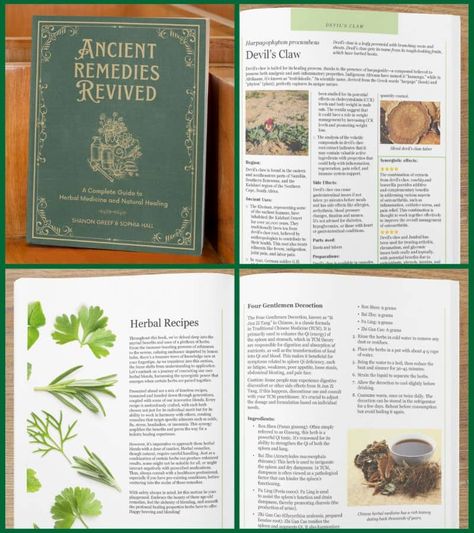 Ancient Remedies Revived Herbalism Books, The Lost Book Of Herbal Remedies, Books For Herbalists, Best Herbalism Books, Books On Medicinal Plants, Memory Problems, Painkiller, Herbal Apothecary, Herbal Magic