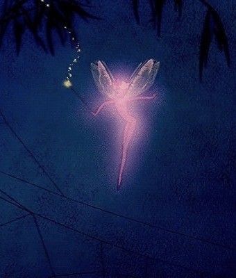 Pink Fairy, Fairy Aesthetic, Fairy Angel, Fairy Art, Fairy Core, Night Sky, My Aesthetic, Astrology, Angel