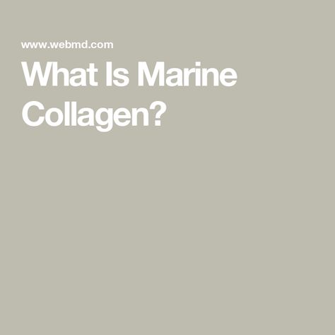 What Is Marine Collagen? Collagen Sources, Studying Food, George Mason University, Food Scientist, Collagen Supplements, Collagen Powder, Protein Supplements, Marine Collagen, Collagen Peptides