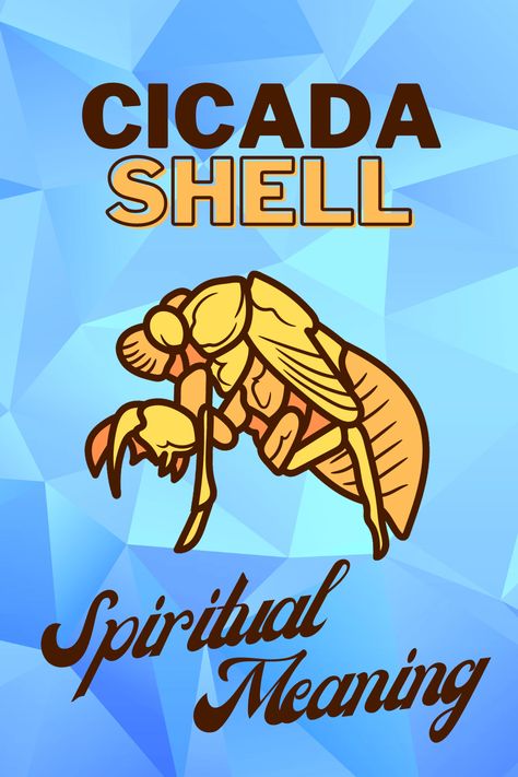 Cicada Shell Omens And Spiritual Meaning Cicada Spiritual Meaning, Cicada Meaning, Cicada Shell Tattoo, Cicada Shell, Shell Tattoos, Animal Spirit Guides, Animal Spirit, Lunch Idea, Bugs And Insects