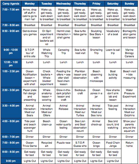 Camp Schedule Camping Schedule, Camp Cabins, Camp Schedule, Study Schedule Template, Team Schedule, Creative Retreat, Youth Activities, Study Schedule, Themed Activities