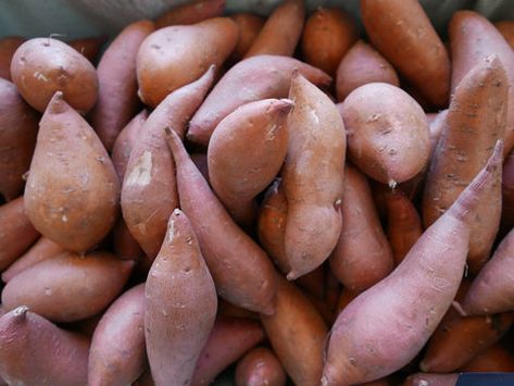 Here’s The Difference Between Yams and Sweet Potatoes | No, the two root vegetables are not really interchangeable. Microwave Sweet Potato, Sweet Potato Oven, Sweet Potato Seasoning, Sweet Potato Toppings, Sweet Potato Side Dish, Sweet Potato Sides, Sweet Potato Thanksgiving, Boiling Sweet Potatoes, Sweet Potato Recipes Baked