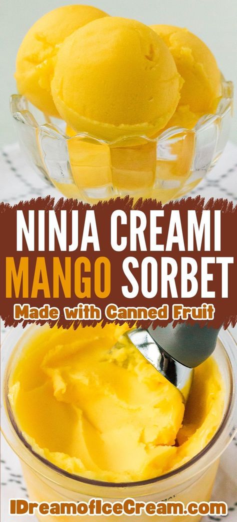 Enjoy the sweet summer flavor of mango sorbet with this easy Ninja Creami recipe! It's made with canned fruit, so it's super simple to whip up, making it a healthy dessert you can feel good about. Sherbert Ninja Creami, Ninja Creami Sorbet Recipe, Ninja Creami Mango, Ninja Creami Sorbet, Vitamix Ice Cream Recipes, Canned Mango, Vitamix Ice Cream, Creami Deluxe Recipes, Mango Sorbet Recipe