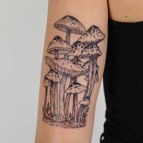 Tenderfoot Studio on Instagram: “Loving this mushroom forest by @fortytwojudges - Books open for Fall!” Colorado Tattoo, Mushroom Tattoo, Tattoo Placements, Autumn Tattoo, Mark Tattoo, Mushroom Tattoos, Frog Tattoos, Forest Tattoos, R Tattoo