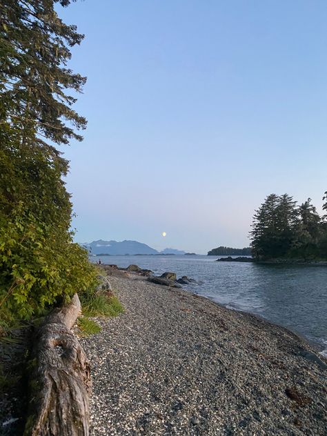 Alaska Travel Aesthetic, Alaska Aesthetic Summer, Alaska Homes, Summer In Alaska, Alaska Beach, Alaska Aesthetic, Alaskan Homes, Beach Trees, Alaska Travel Guide