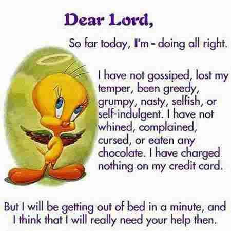 morning prayer and God does love humor Funny Prayers, Tweety Bird Quotes, Bird Quotes, Funny New Year, Birthday Quotes Funny, Its Friday Quotes, Tweety Bird, Funny New, Yellow Bird