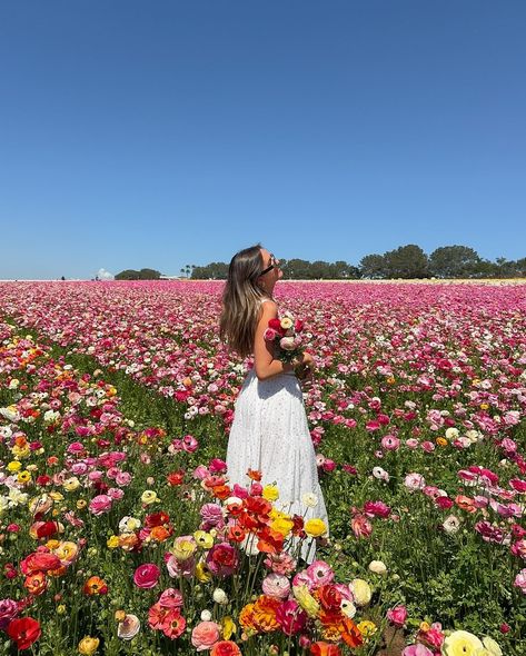 nothing like frolicking through the flower fields in a cute new spring outfit !!! 🌸🌷🌺 20ALI @princesspollyboutique #springoutfit #springtime #outfitinspiration #springoutfits #springoutfitideas #pinterest #pinterestinspired #pinterestgirl Spring Inspo, Flower Picks, Picking Flowers, Spring Girl, Spring Mood, Nothing But Flowers, Flower Therapy, Spring Aesthetic, Spring Vibes