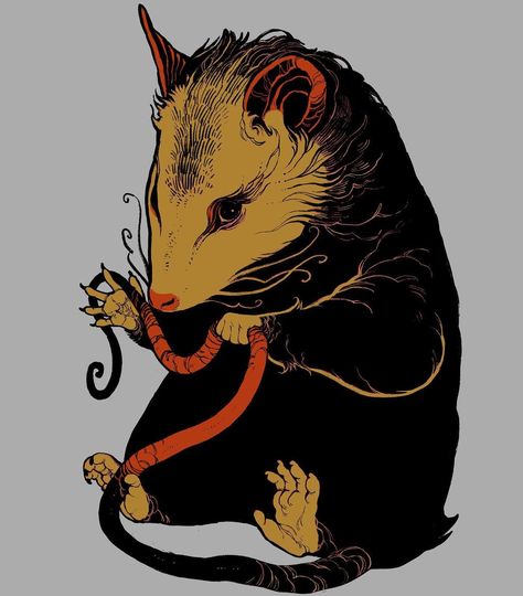 Possum Art, Wal Art, Arte Grunge, Art Drawing Sketch, Tattoo Illustration, Pics Art, Drawing Sketch, Funky Art, Horror Art